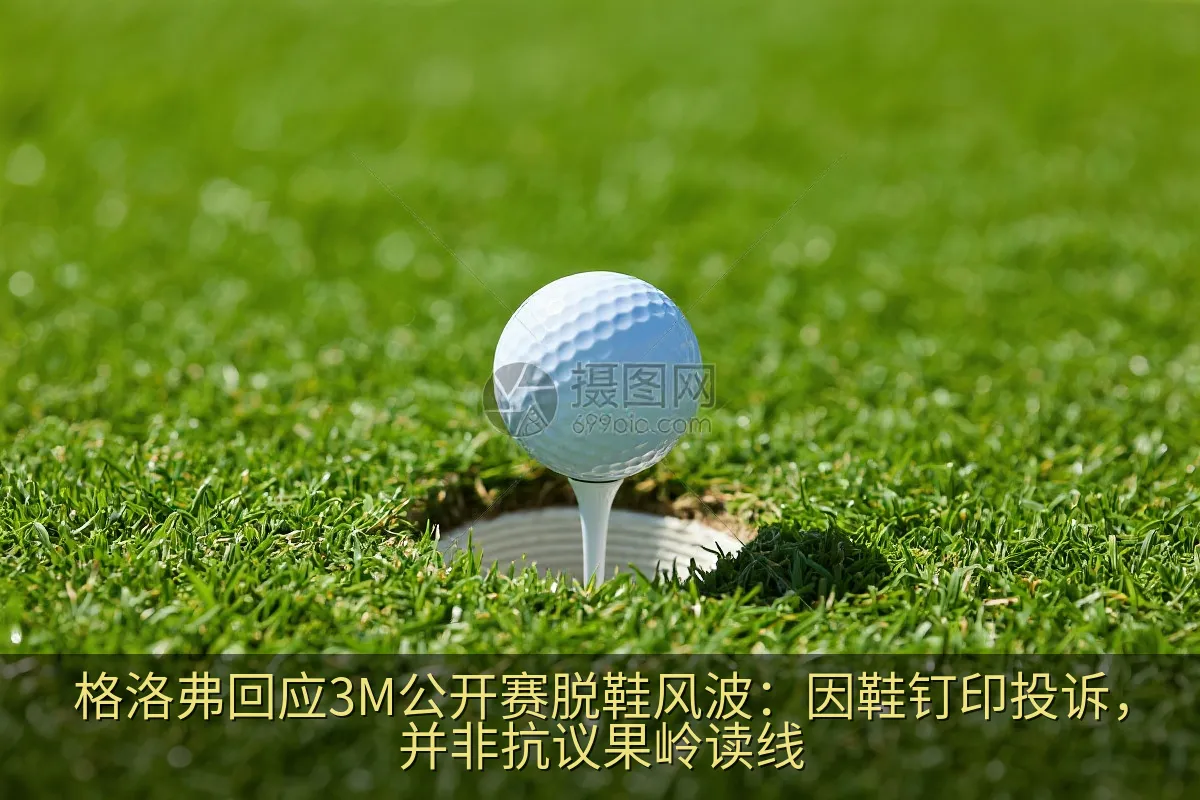 高尔夫果岭上的球洞和高尔夫球